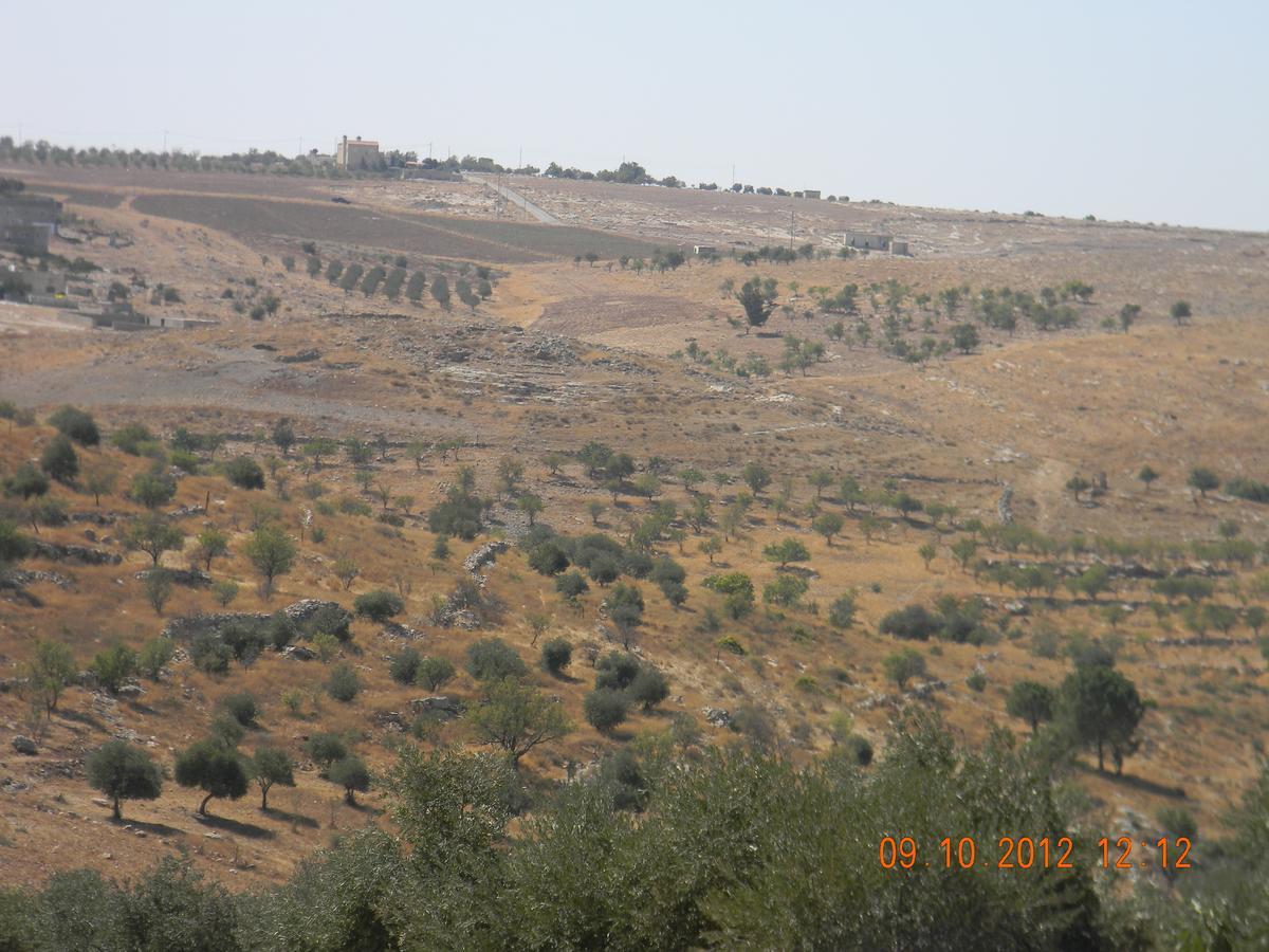 Town Of Mount Nebo Vila Madaba Exterior foto