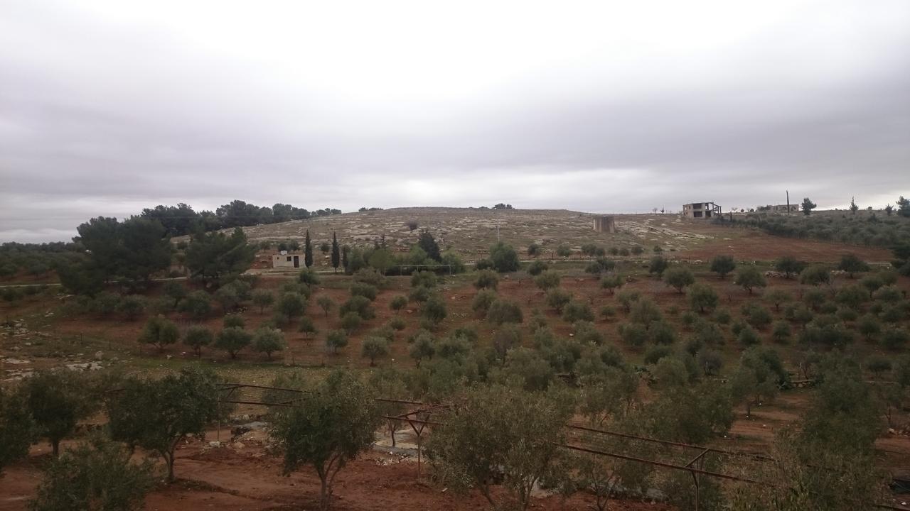 Town Of Mount Nebo Vila Madaba Exterior foto